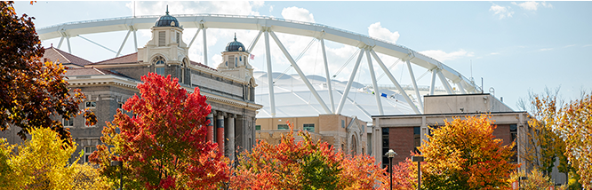 Syracuse Research Projects